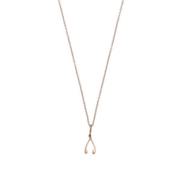the little wishbone necklace